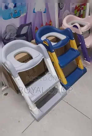 Toilet Ladder