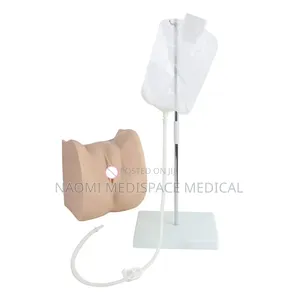 Female Condom Catheterization Model/Catheterization Manikin
