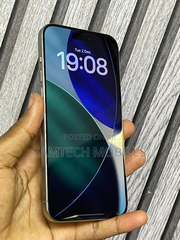 Apple iPhone 15 Pro Max 256 GB Silver - thumbnail 4