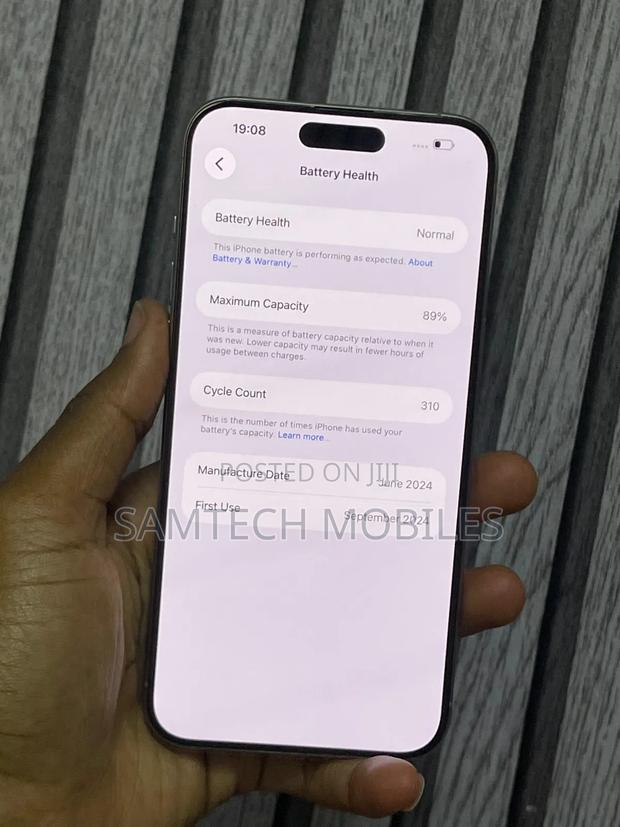 Apple iPhone 15 Pro Max 256 GB Silver - thumbnail 5