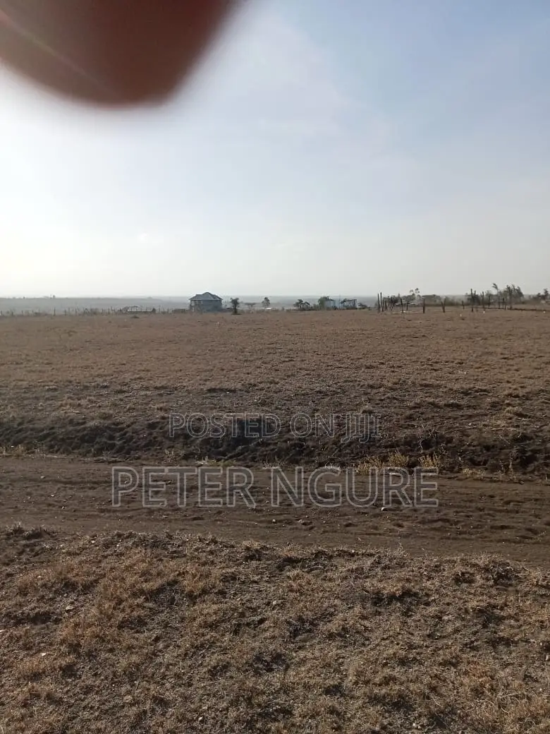 50 by 100 Prime Plots for Sale in Kitengela, Acacia Area