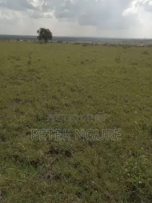 50 by 100 Prime Plots for Sale in Kitengela, Acacia Area
