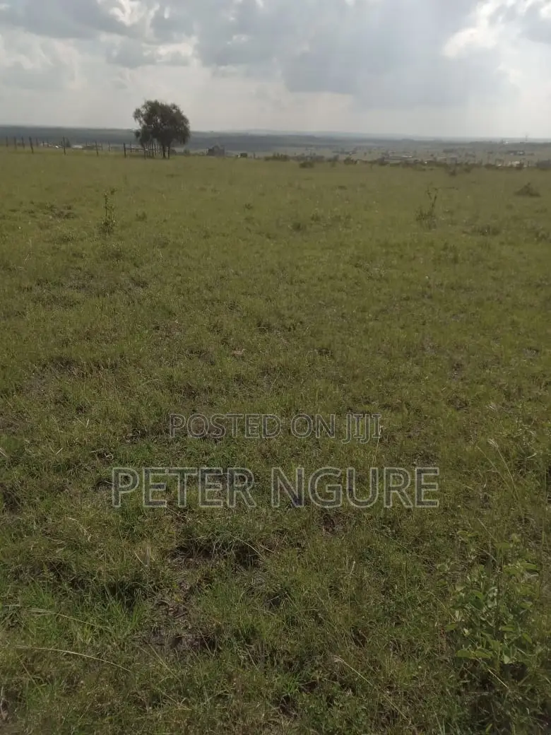 50 by 100 Prime Plots for Sale in Kitengela, Acacia Area