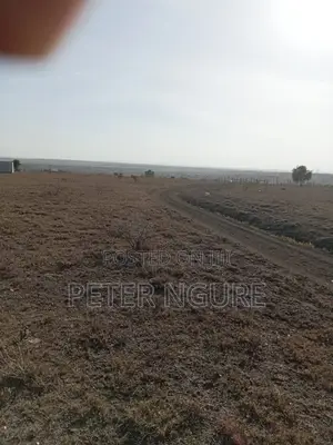 50 by 100 Prime Plots for Sale in Kitengela, Acacia Area