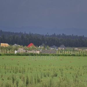 Land for Sale in Nakuru - thumbnail 2