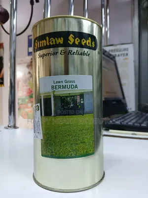 Bermuda Lawn Grass 500g