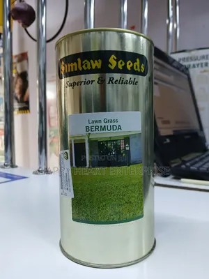 Bermuda Lawn Grass 500g