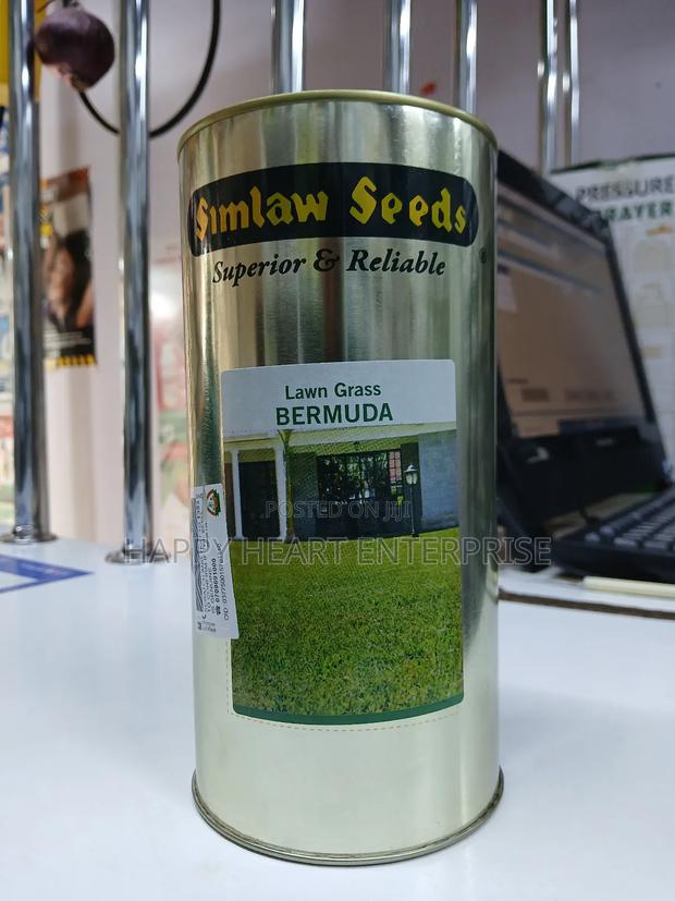 Bermuda Lawn Grass 500g - thumbnail 2