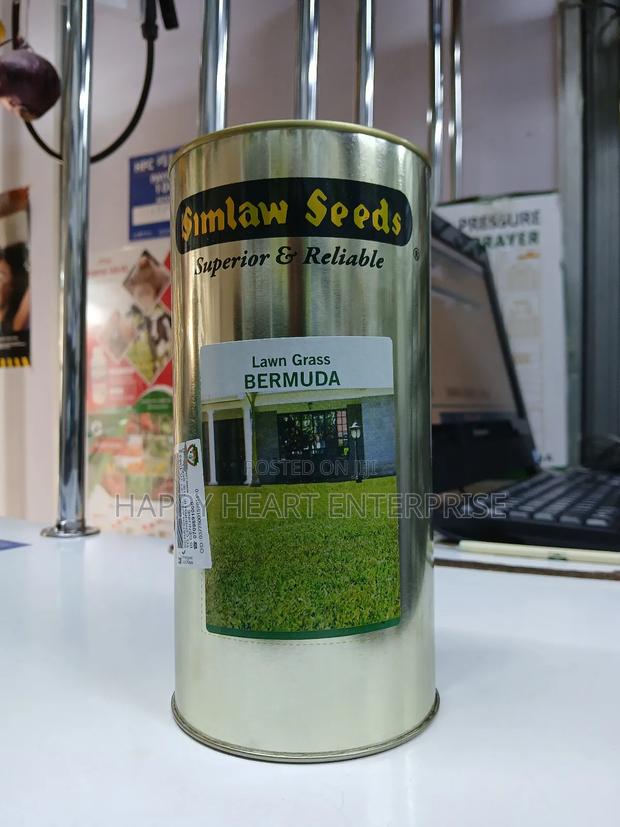 Bermuda Lawn Grass 500g - thumbnail 3
