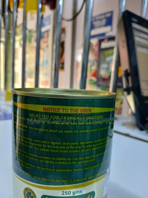 Bermuda Lawn Grass Simlaw 250g - thumbnail 5