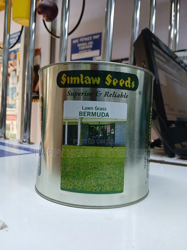 Lawn Grass Bermuda  1kg Simlaw - thumbnail 3