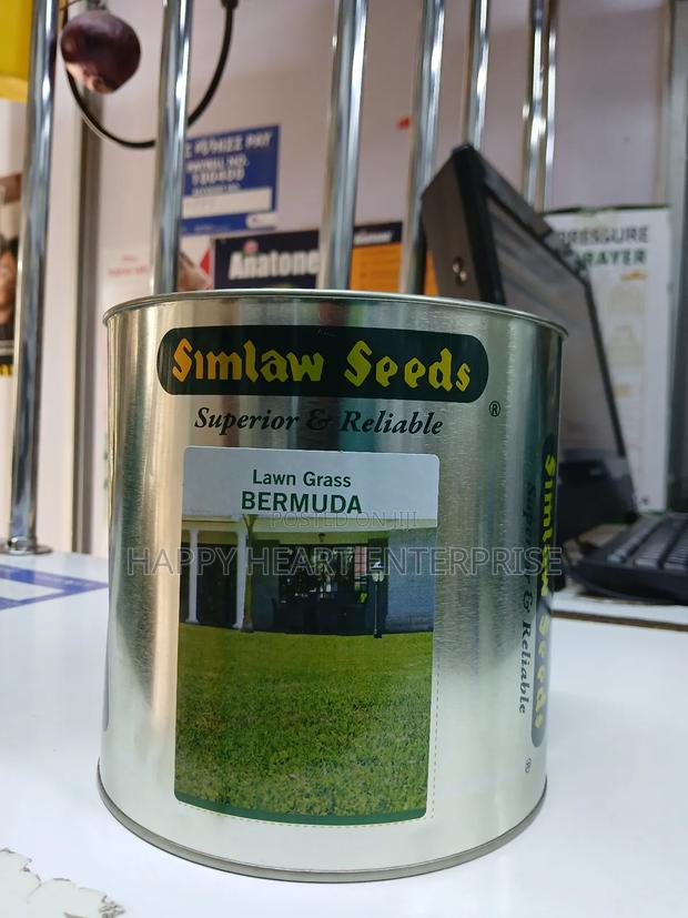 Lawn Grass Bermuda  1kg Simlaw - thumbnail 6