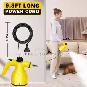 220v Handheld High Temperature Steam Cleaner