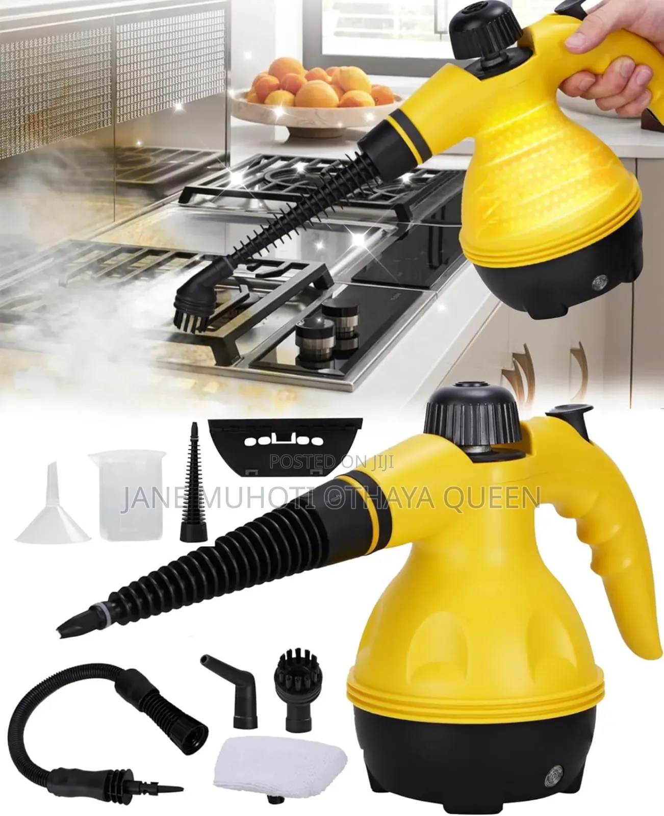 220v Handheld High Temperature Steam Cleaner