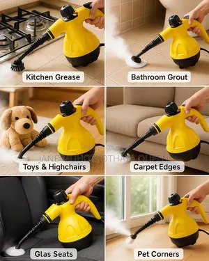 220v Handheld High Temperature Steam Cleaner