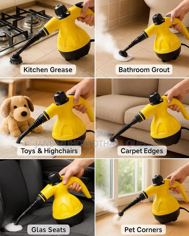 220v Handheld High Temperature Steam Cleaner - thumbnail 3