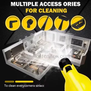 220v Handheld High Temperature Steam Cleaner