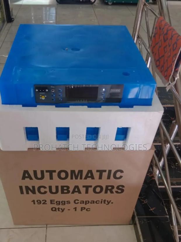 High Quality Eggs Automatic Incubator/64 Eggs