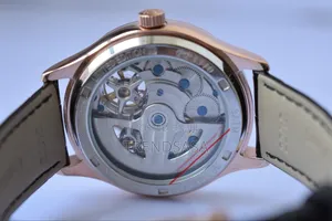 Patek Philippe Twin Tourbillon Moon Dial Watch