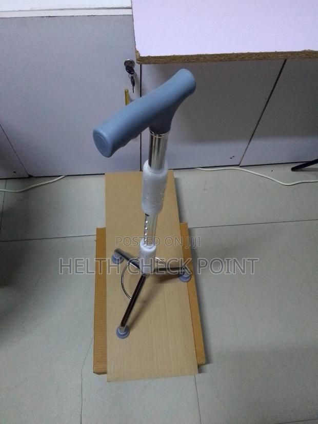 Tripod Walking Stick - main view