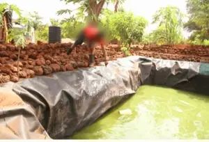 All Seasons Commercial Farming With Damlining With Hdpe Liners
