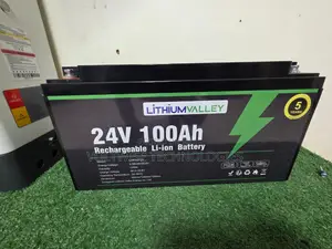 Lithium Valley 24v 100ah Li-Ion Battery