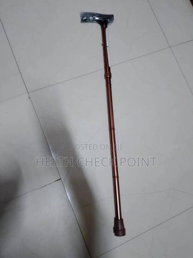Foldable Walking Stick - main view