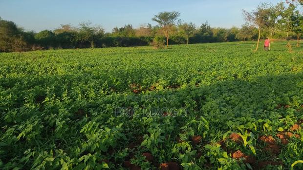 Prime Land Sale - thumbnail 3