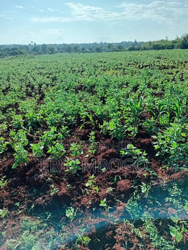 Prime Land Sale - thumbnail 4