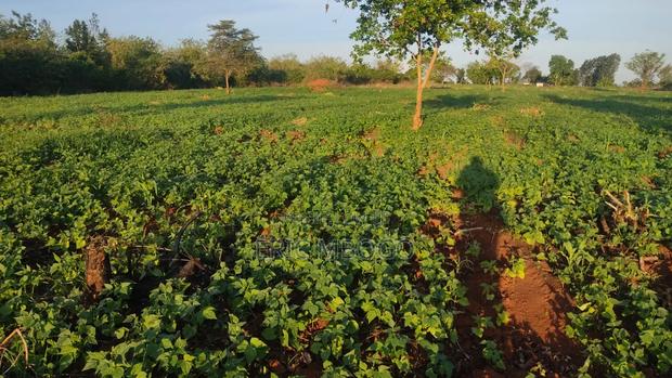 Prime Land Sale - thumbnail 5