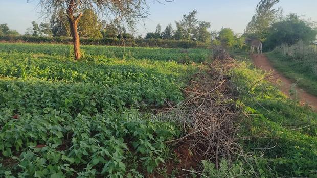 Prime Land Sale - thumbnail 6