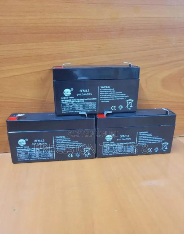 500kg Crane Scale Battery