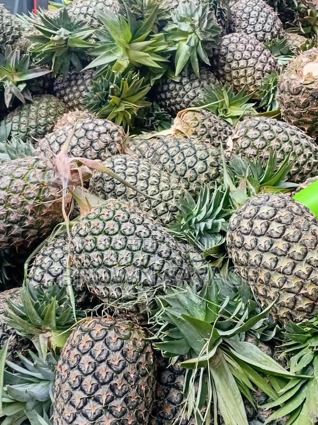 Pinepal(Pineapple Dealer - thumbnail 3