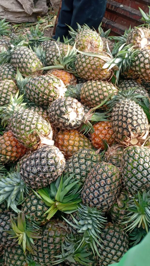 Pinepal(Pineapple Dealer - thumbnail 4