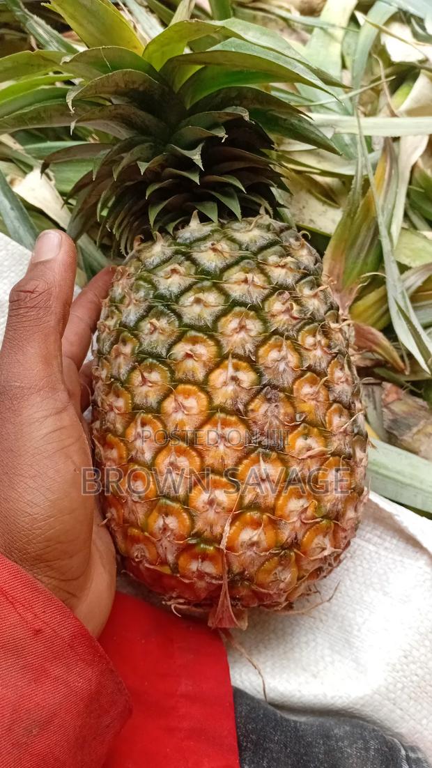 Pinepal(Pineapple Dealer - thumbnail 5