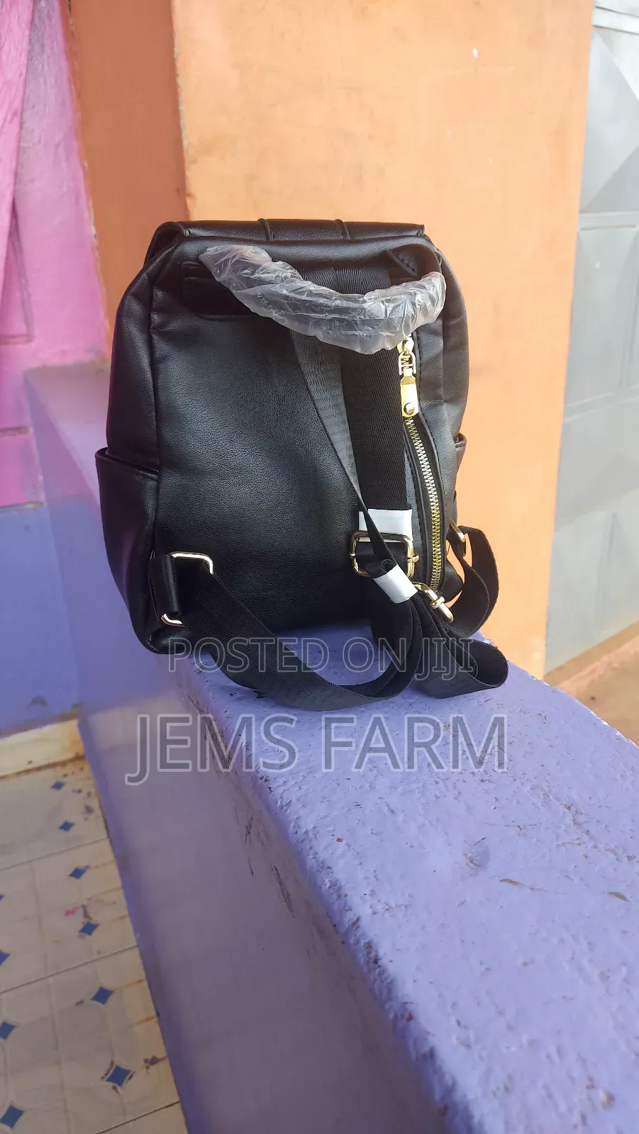 Ladies Mini Leather Backpack