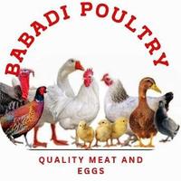 Babadi Poalry Farm logo