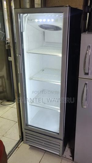 Chiller Refrigerator 300litres - main view