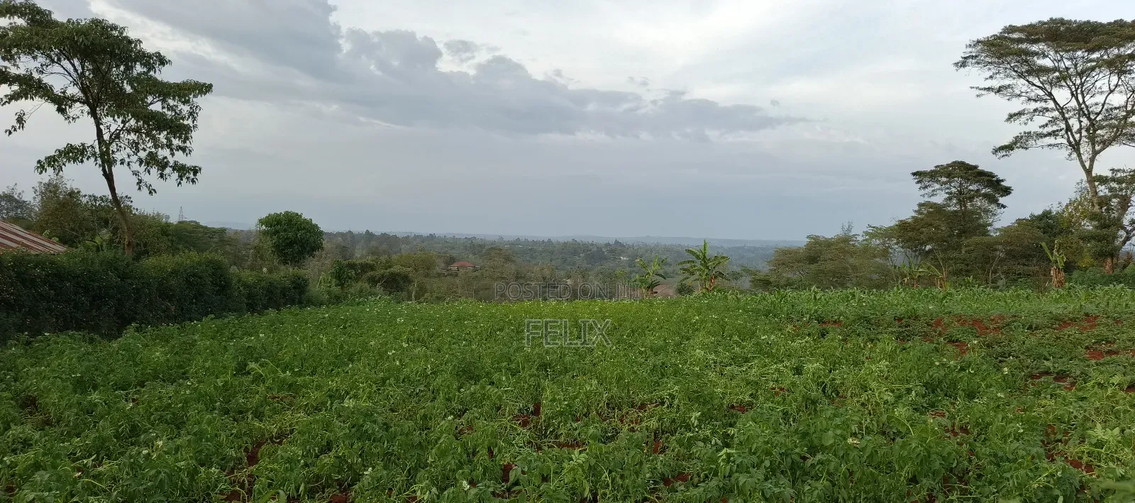 Nyeri /Kerichu Gachika 3.65 Acres