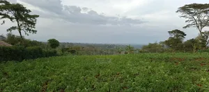 Nyeri /Kerichu Gachika 3.65 Acres
