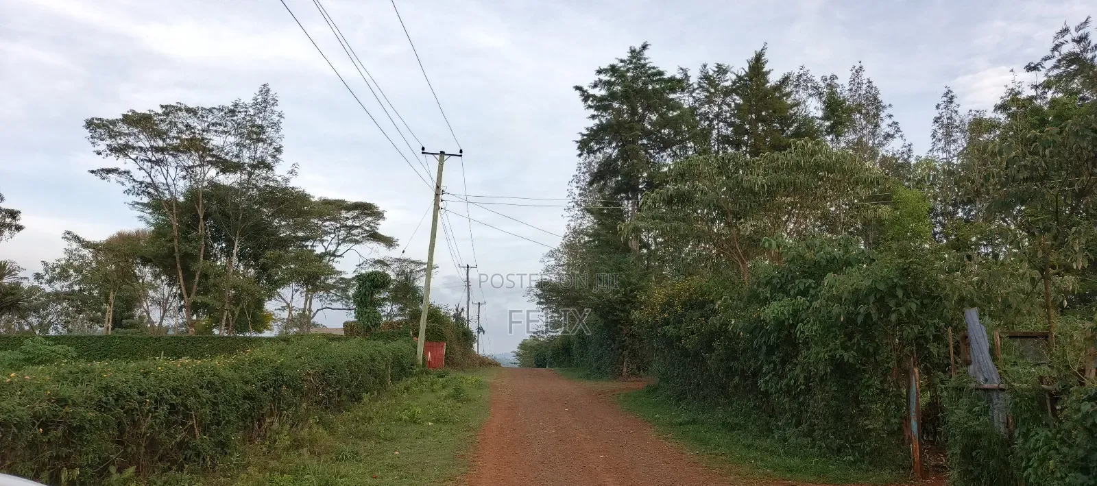 Nyeri /Kerichu Gachika 3.65 Acres