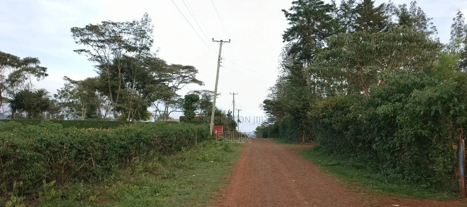Nyeri /Kerichu Gachika 3.65 Acres