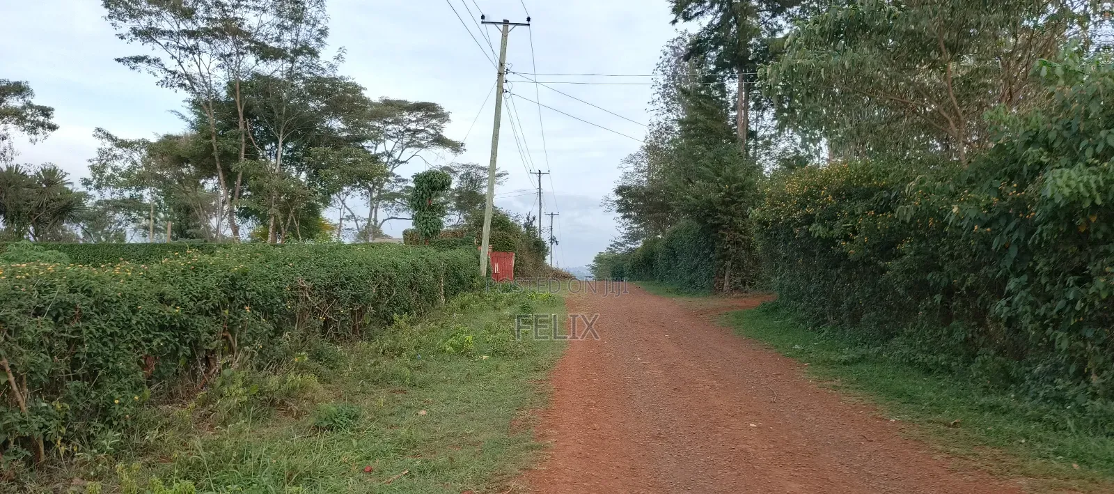 Nyeri /Kerichu Gachika 3.65 Acres