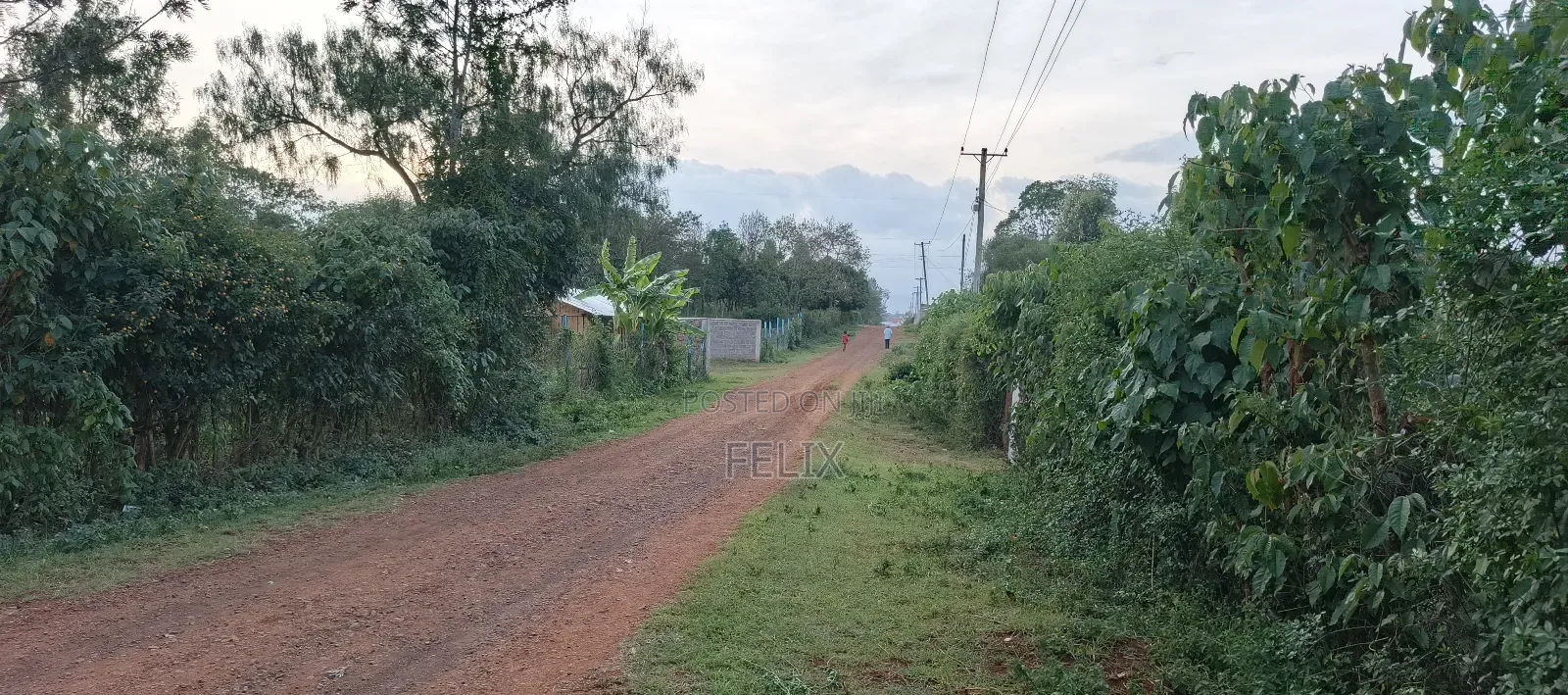 Nyeri /Kerichu Gachika 3.65 Acres