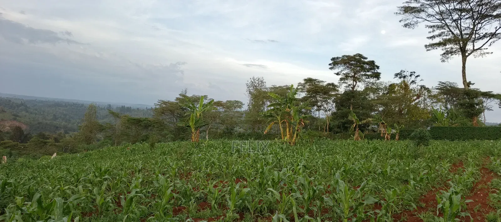 Nyeri /Kerichu Gachika 3.65 Acres