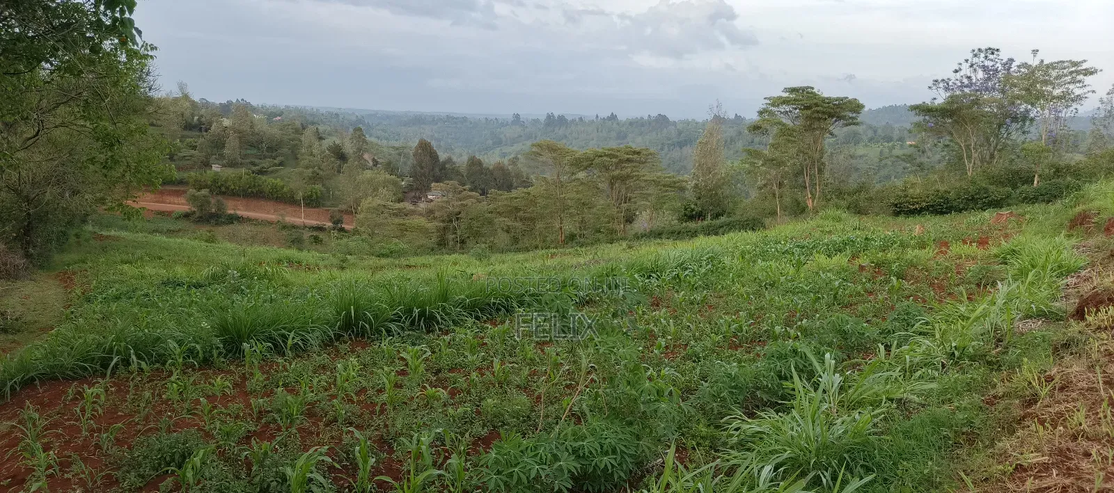 Nyeri /Kerichu Gachika 3.65 Acres