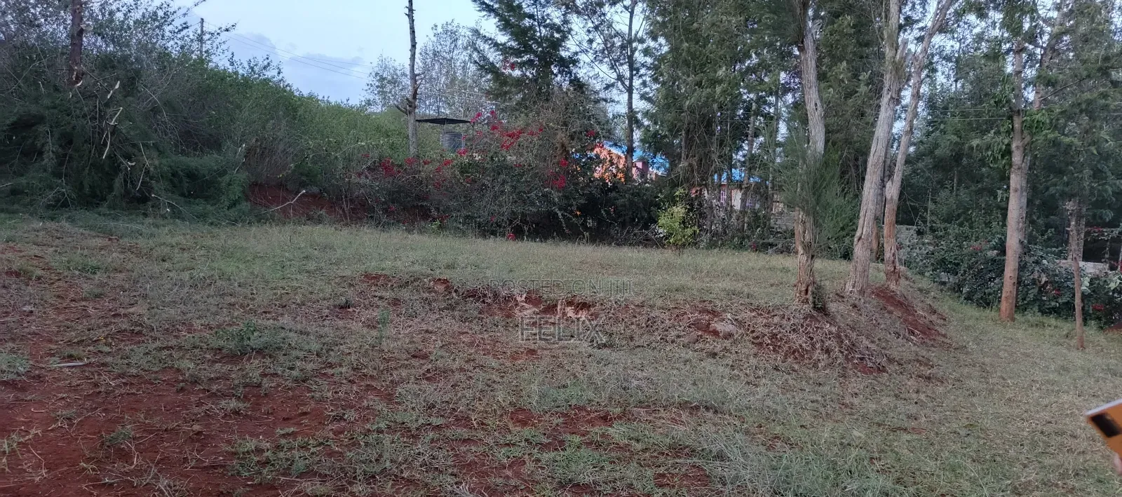 Nyeri Kerichu/Near Kagumo High School Quota Plots