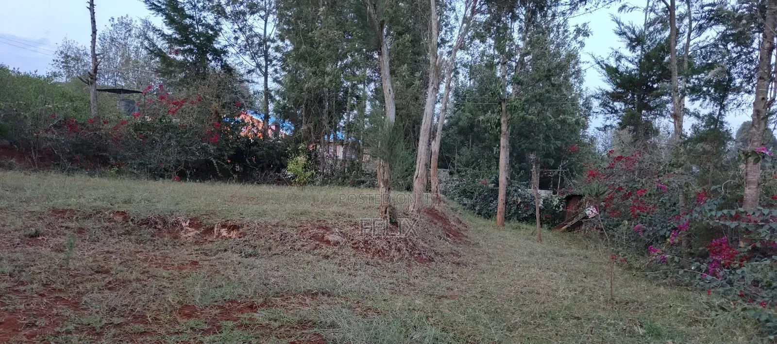Nyeri Kerichu/Near Kagumo High School Quota Plots