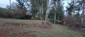 Nyeri Kerichu/Near Kagumo High School Quota Plots