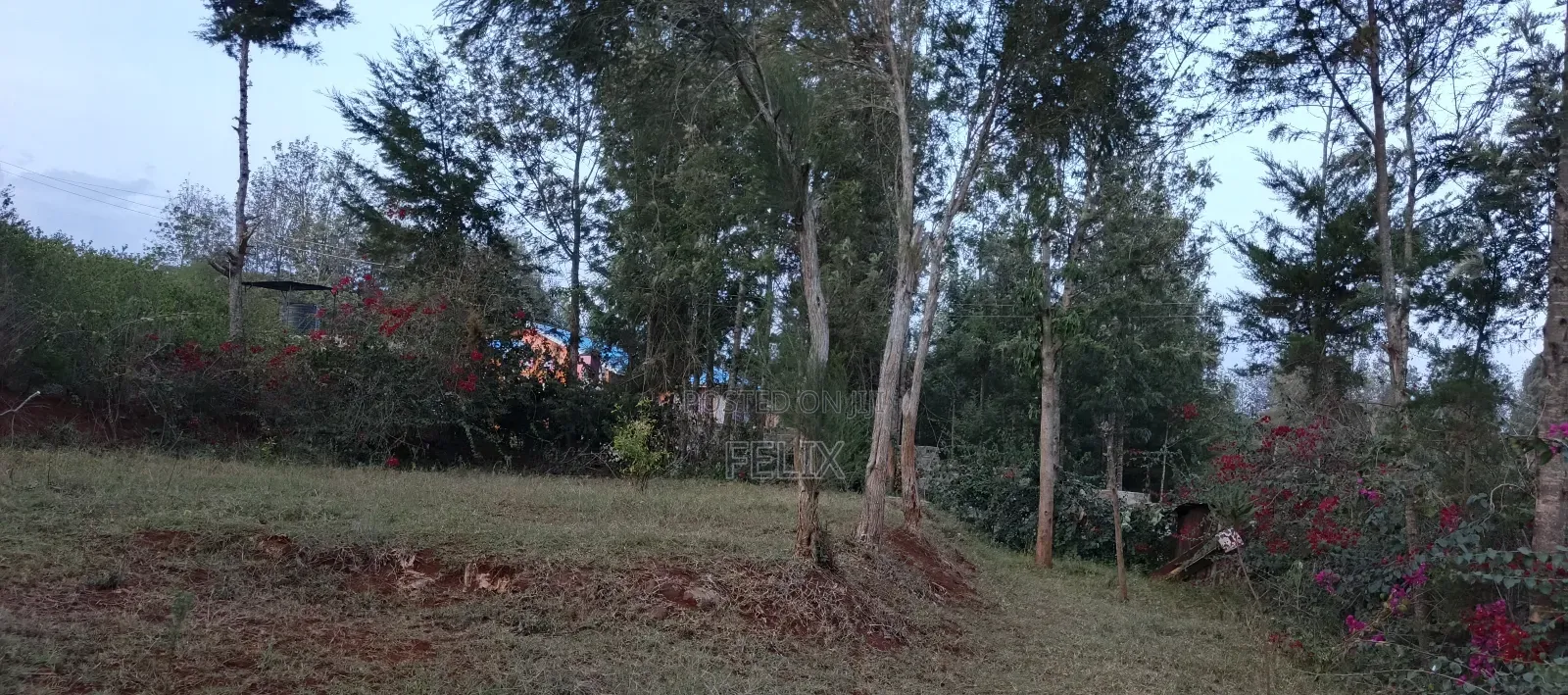 Nyeri Kerichu/Near Kagumo High School Quota Plots